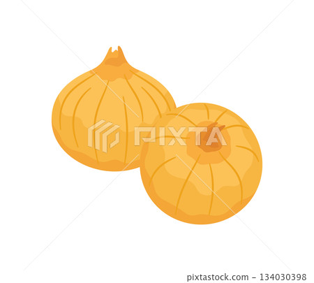 Onion, flat illustration 134030398