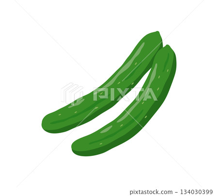 黃瓜，扁平插圖 134030399