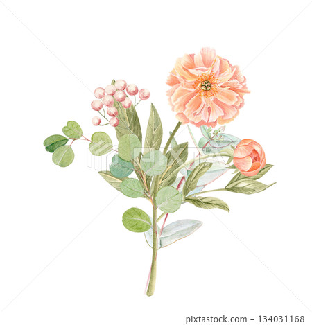 Peony with eucalyptus bouquet in soft peach tones watercolor illustration isolated on white. Hand-painted with high detail, perfect for wedding invitations, branding, packaging, fabric design cards Peony with eucalyptus bouquet in soft peach tones watercolor illustration isolated on white. Hand-painted with high detail, perfect for wedding invitations, branding, packaging, fabric design cards 134031168