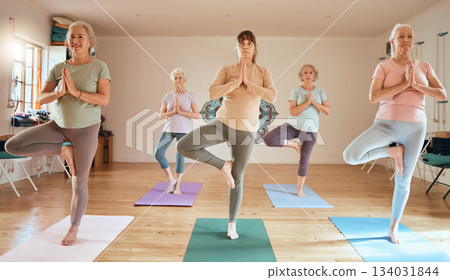 Yoga balance, class and senior women doing wellness breathing exercise, studio workout or pilates fitness. Elderly healthcare lesson, retirement activity and group of people training for self care Yoga balance, class and senior women doing wellness breathing exercise, studio workout or pilates fitness. Elderly healthcare lesson, retirement activity and group of people training for self care 134031844