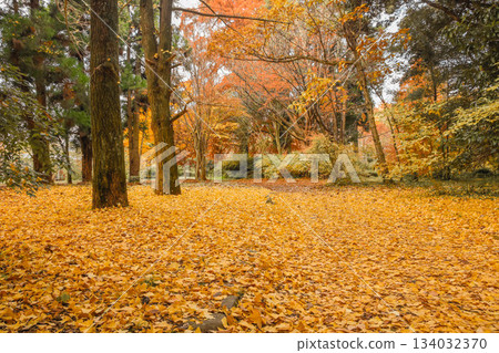 Autumn image: Late autumn scenery Autumn image: Late autumn scenery 134032370