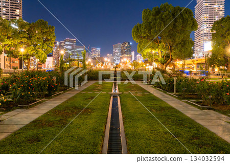 <大阪府> 大阪市中心中之島公園夜景 134032594