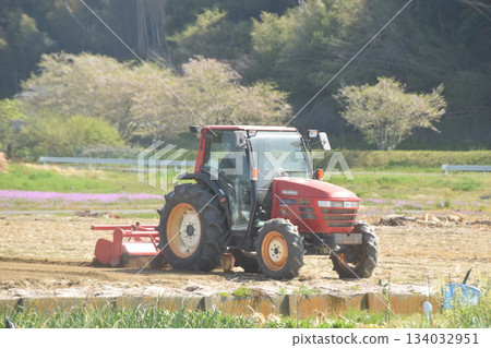 Spring landscape with cherry blossoms in full bloom and a tractor Spring landscape with cherry blossoms in full bloom and a tractor 134032951