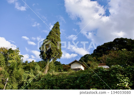 Autumn in Sanin: Rural scenery in Shimane Autumn in Sanin: Rural scenery in Shimane 134033080
