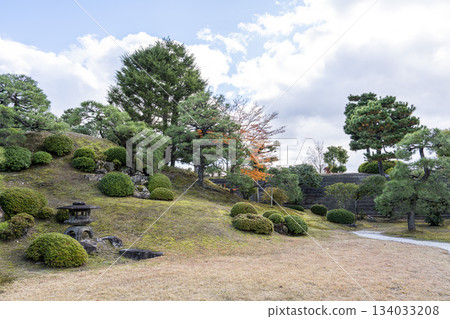 深秋的京都市中京區二條城本丸庭園 134033208