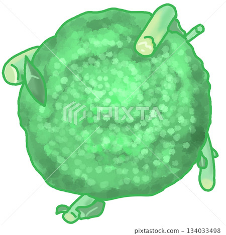 Broccoli stem top Broccoli stem top 134033498