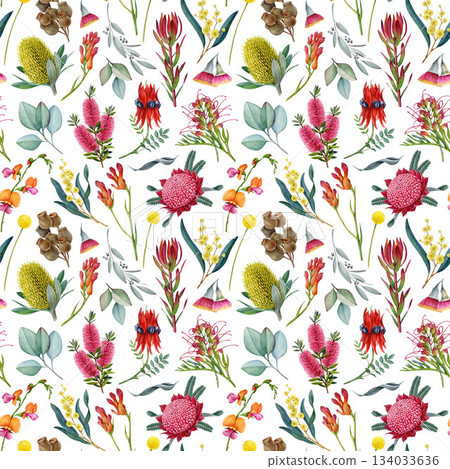 Australia native flowers seamless pattern. Hand drawn Australian flora botanical elements on white background. Waratah, golden wattle, grevillea, banksia, gum tree leaves watercolor illustration 134033636