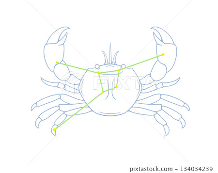 癌症的彩色線條畫插圖 癌症的彩色線條畫插圖 134034239