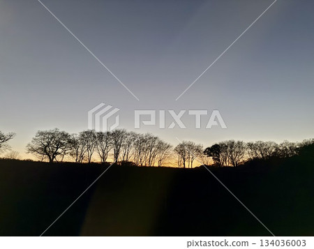 Sunset and dusk with silhouettes of trees Sunset and dusk with silhouettes of trees 134036003