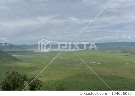 Ngorongoro Conservation Area in Tanzania, Africa Ngorongoro Conservation Area in Tanzania, Africa 134036053