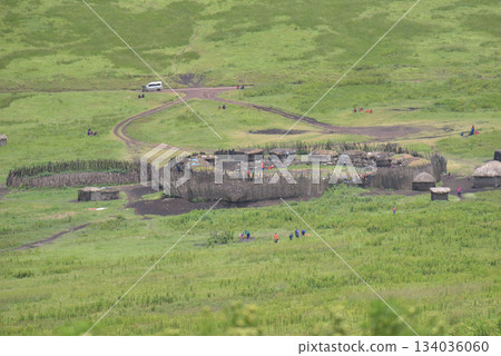 Ngorongoro Conservation Area in Tanzania, Africa 134036060