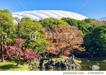 Tokyo, Koishikawa Korakuen Garden, Great Spring, Autumn foliage scenery, National Historic Site 134036074