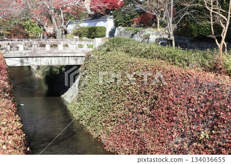 漫步京都哲學之道，欣賞秋日紅葉 134036655