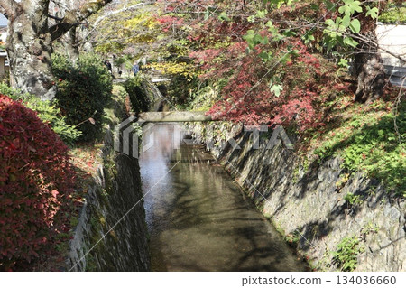 漫步京都哲學之道，欣賞秋日紅葉 134036660