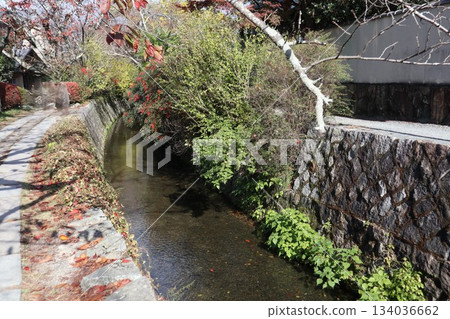 漫步京都哲學之道,欣賞秋日紅葉 漫步京都哲學之道,欣賞秋日紅葉 134036662