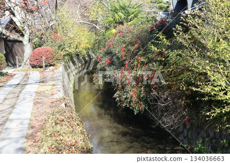 漫步京都哲學之道，欣賞秋日紅葉 134036663
