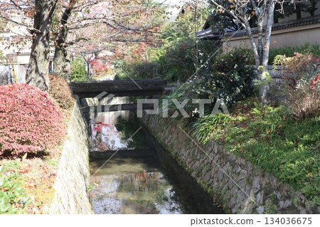 漫步京都哲學之道，欣賞秋日紅葉 134036675