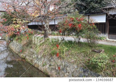 A stroll through the autumn leaves of Kyoto's Philosopher's Path A stroll through the autumn leaves of Kyoto's Philosopher's Path 134036687
