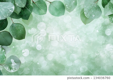 Fresh Green Leaves with Soft Bokeh on Light Green Background for Nature and Relaxation Themes 134036760