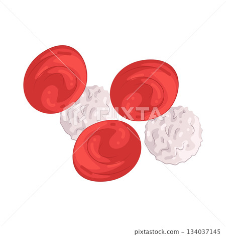 Illustration of blood cell Illustration of blood cell 134037145