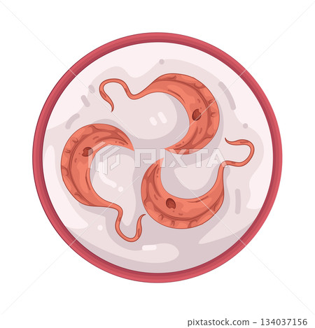 Illustration of platelets Illustration of platelets 134037156