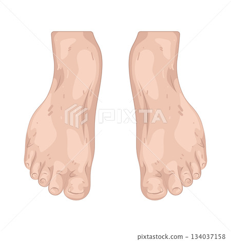 Illustration of foot Illustration of foot 134037158