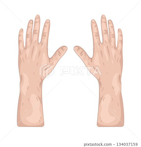 Illustration of hand Illustration of hand 134037159