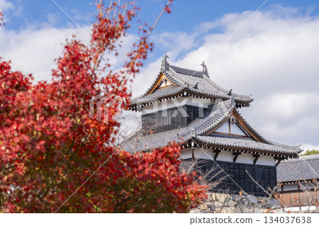 Koriyama Castle and autumn leaves on a clear day (Yamatokoriyama City, Nara Prefecture) 134037638