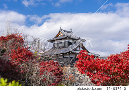 晴朗日子裡的郡山城和秋葉（奈良縣大郡山市） 134037640