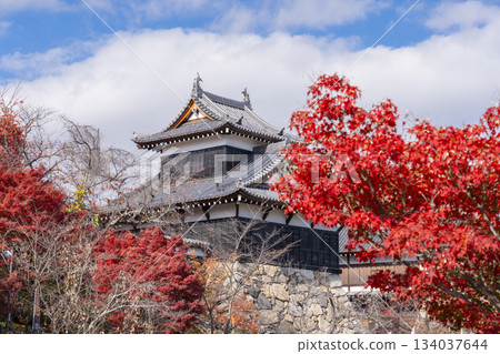 晴朗日子裡的郡山城和秋葉（奈良縣大郡山市） 134037644