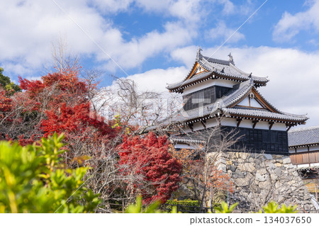 Koriyama Castle and autumn leaves on a clear day (Yamatokoriyama City, Nara Prefecture) Koriyama Castle and autumn leaves on a clear day (Yamatokoriyama City, Nara Prefecture) 134037650