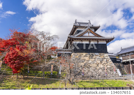 Koriyama Castle and autumn leaves on a clear day (Yamatokoriyama City, Nara Prefecture) 134037651