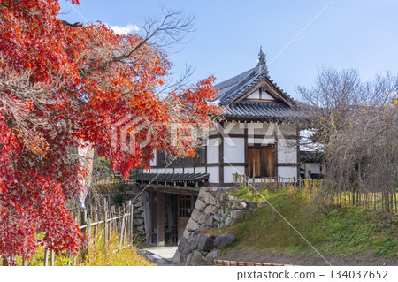 晴朗日子裡的郡山城：大手門和秋葉（奈良縣大郡山市） 134037652