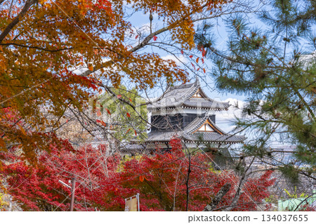 晴朗日子裡的郡山城和秋葉（奈良縣大郡山市） 134037655