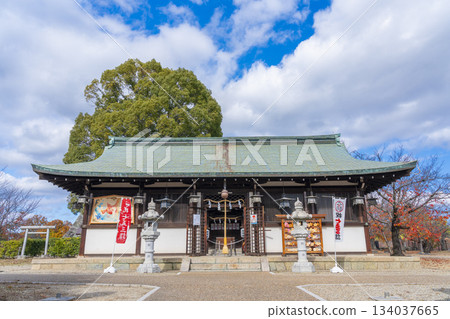 晴朗日子裡的郡山城遺址公園柳澤神社(奈良縣大郡山市) 晴朗日子裡的郡山城遺址公園柳澤神社(奈良縣大郡山市) 134037665