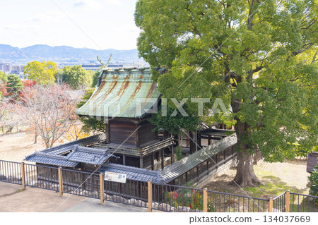 晴朗日子裡的郡山城遺址公園柳澤神社(奈良縣大郡山市) 晴朗日子裡的郡山城遺址公園柳澤神社(奈良縣大郡山市) 134037669