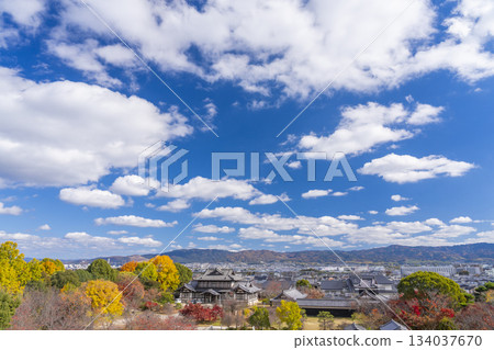 晴朗日子裡的郡山城、城址遺址和秋葉（奈良縣大郡山市） 134037670