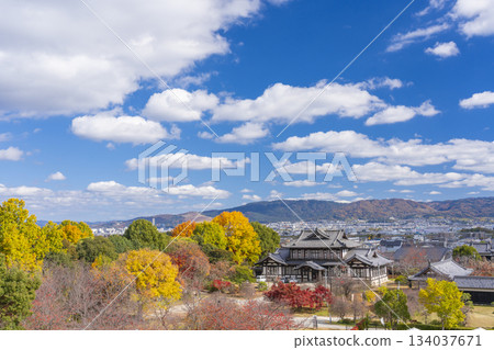 晴朗日子裡的郡山城、城址遺址和秋葉(奈良縣大郡山市) 晴朗日子裡的郡山城、城址遺址和秋葉(奈良縣大郡山市) 134037671