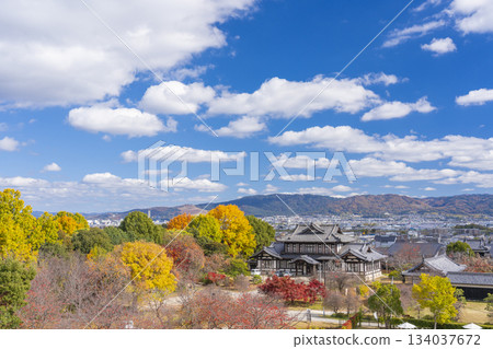 Koriyama Castle on a clear day, Castle Ruins Hall and autumn leaves (Yamatokoriyama City, Nara Prefecture) Koriyama Castle on a clear day, Castle Ruins Hall and autumn leaves (Yamatokoriyama City, Nara Prefecture) 134037672