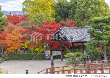 Koriyama Castle on a clear day, Yanagisawa Library and autumn leaves (Yamatokoriyama City, Nara Prefecture) 134037677