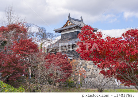 晴朗日子裡的郡山城和秋葉（奈良縣大郡山市） 134037683