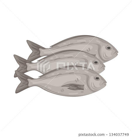Illustration of fish Illustration of fish 134037749