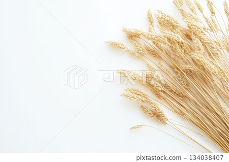 Dried wheat stalks arranged on a light background for rustic decoration 134038407
