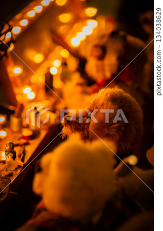 A warm scene with a teddy bear surrounded by Christmas goods A warm scene with a teddy bear surrounded by Christmas goods 134038629