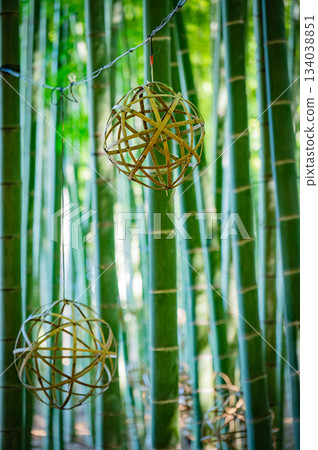 The beautiful bamboo forest of Wakatake-no-Mori in Tochigi The beautiful bamboo forest of Wakatake-no-Mori in Tochigi 134038851