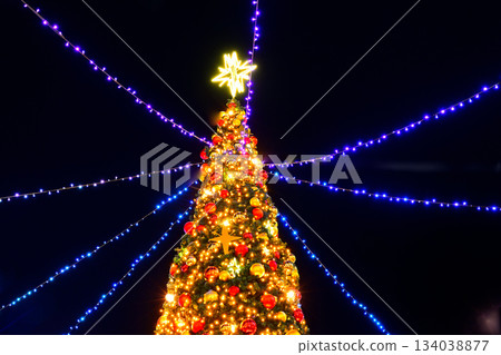 Looking up at the illuminated Christmas tree 134038877