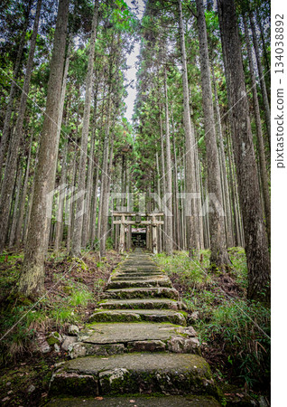 The quiet grounds of Kamo Shrine in Kyoto The quiet grounds of Kamo Shrine in Kyoto 134038892