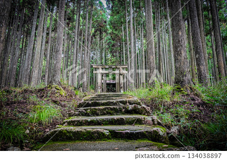 京都賀茂神社的靜謐庭院 134038897