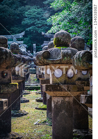 山口縣萩市東光寺森家墓園的壯麗景色 山口縣萩市東光寺森家墓園的壯麗景色 134038987