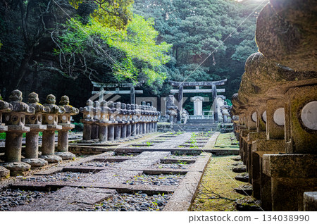 山口縣萩市東光寺森家墓園的壯麗景色 山口縣萩市東光寺森家墓園的壯麗景色 134038990
